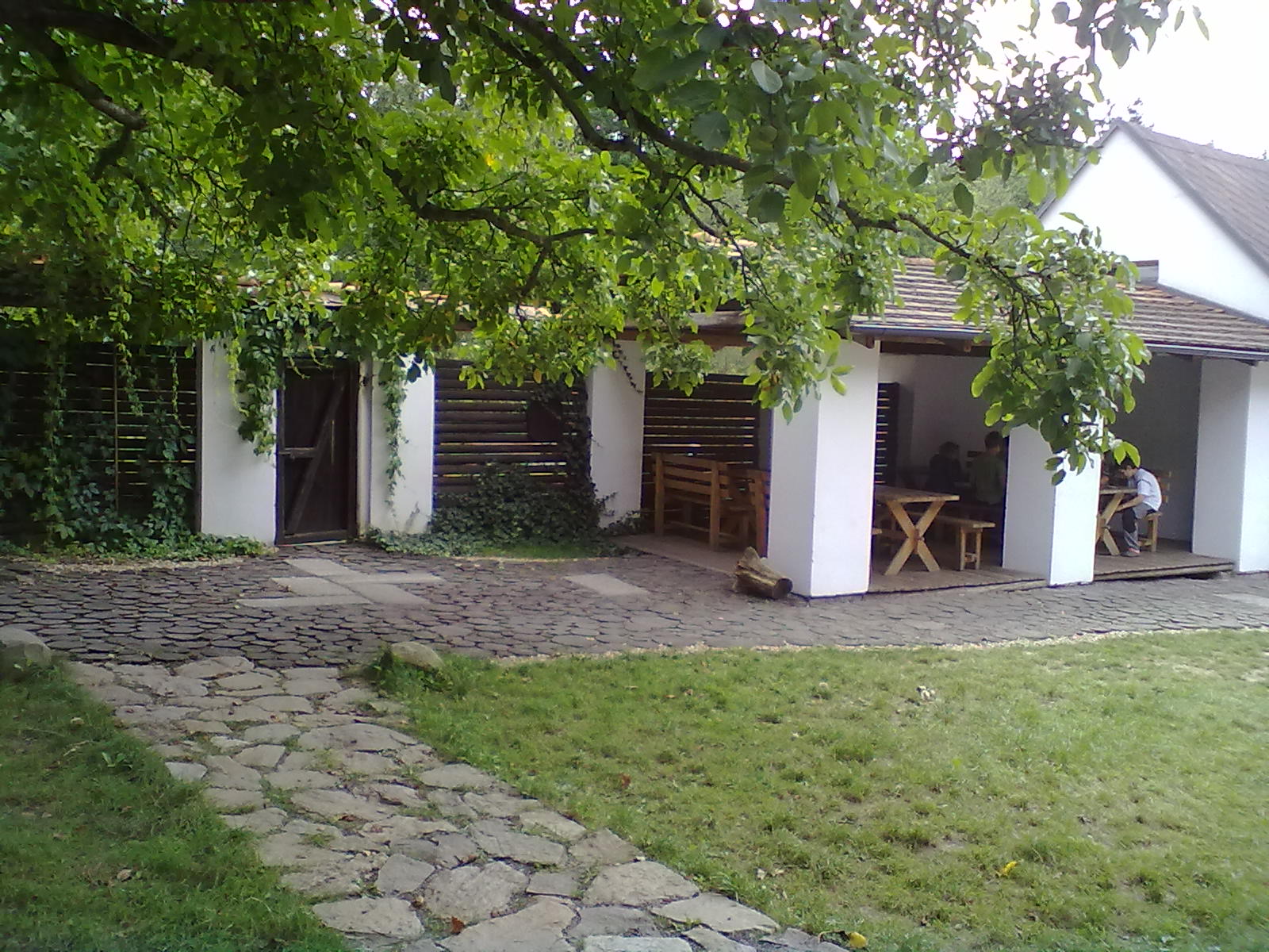 01092011595