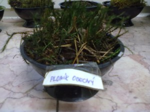 24112011256.jpg