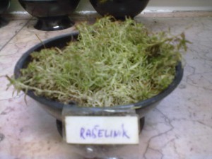 24112011258.jpg
