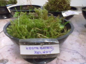 24112011262.jpg